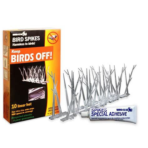 pigeon spikes lowes